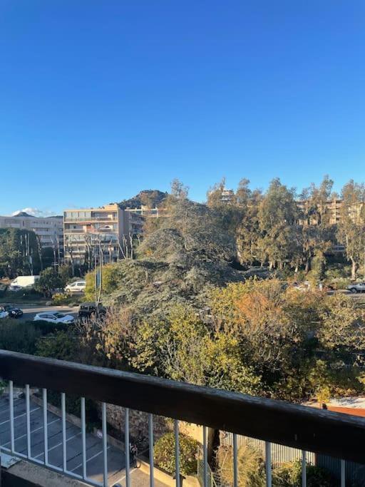 Le Cocon Hyerois Apartment